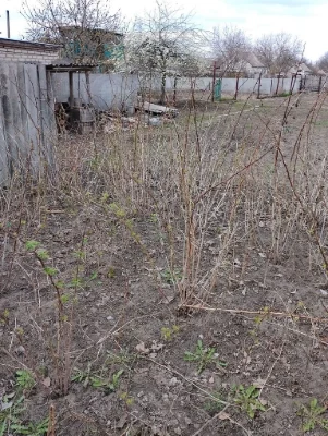 Продам участок в Балаклее (Лагеря).Возможен обмен на автомоб