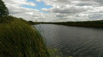 Участок на берегу реки 2 гектара