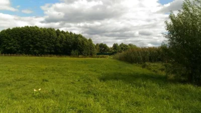 Участок на берегу реки 2 гектара