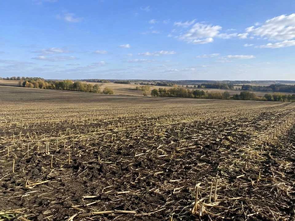 Ділянка. Ізюм