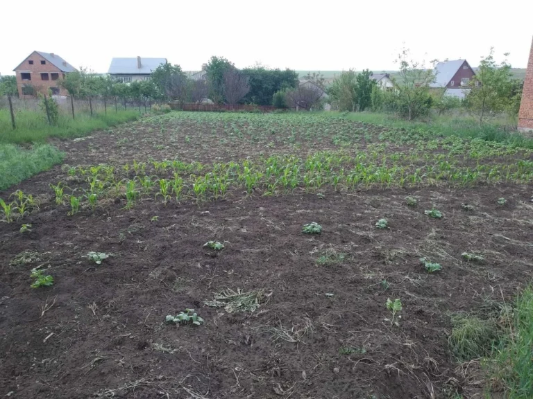 Продам земельну ділянку під забудову с. Мукша Китайгородська