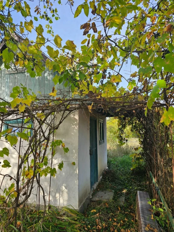 Продається земельна ділянка