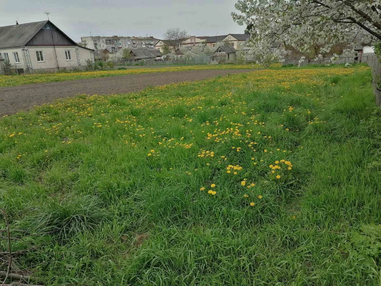 Земельна ділянка