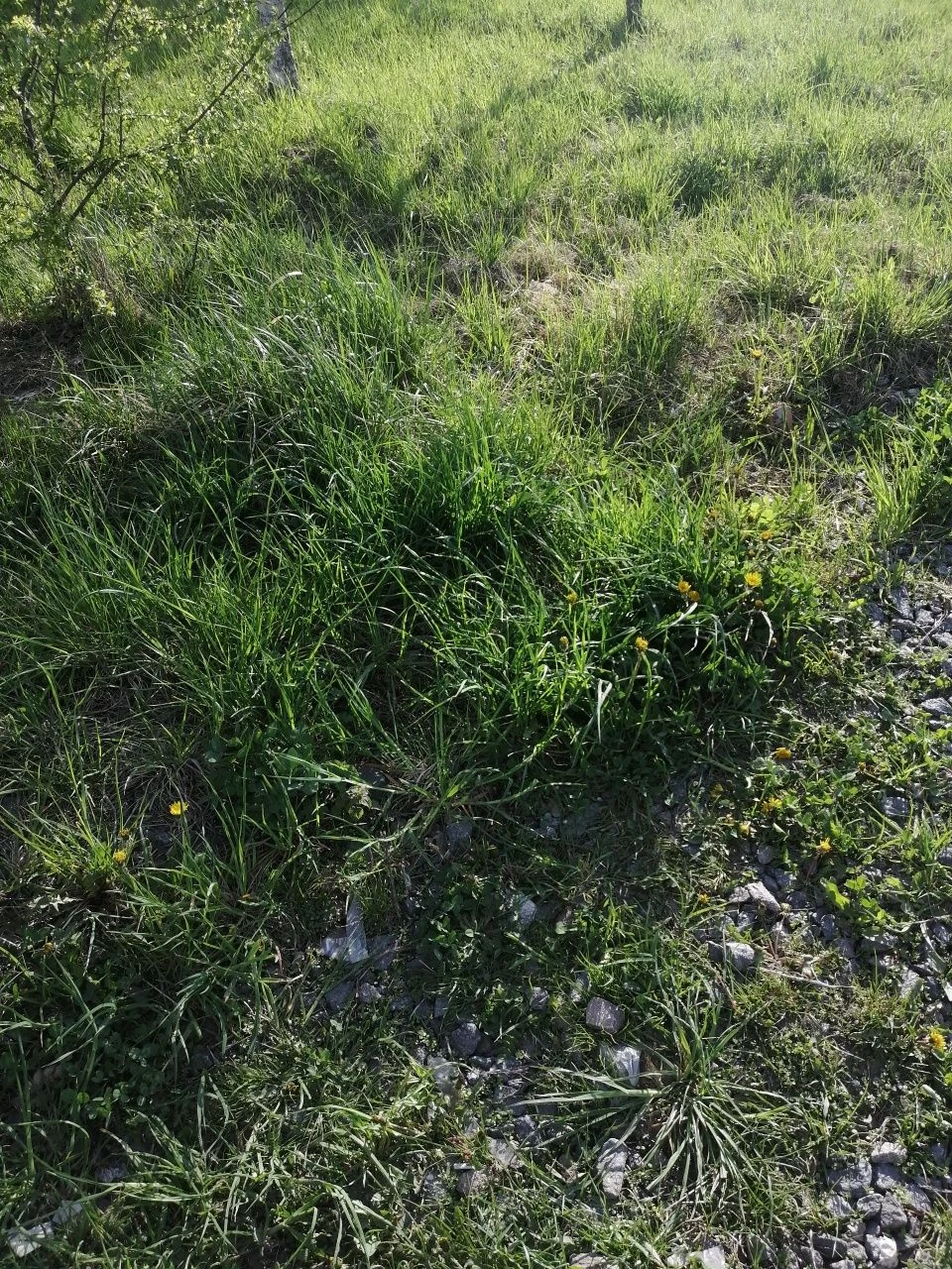 Продам землю під забудову