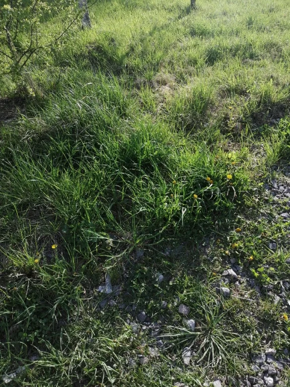 Продам землю під забудову
