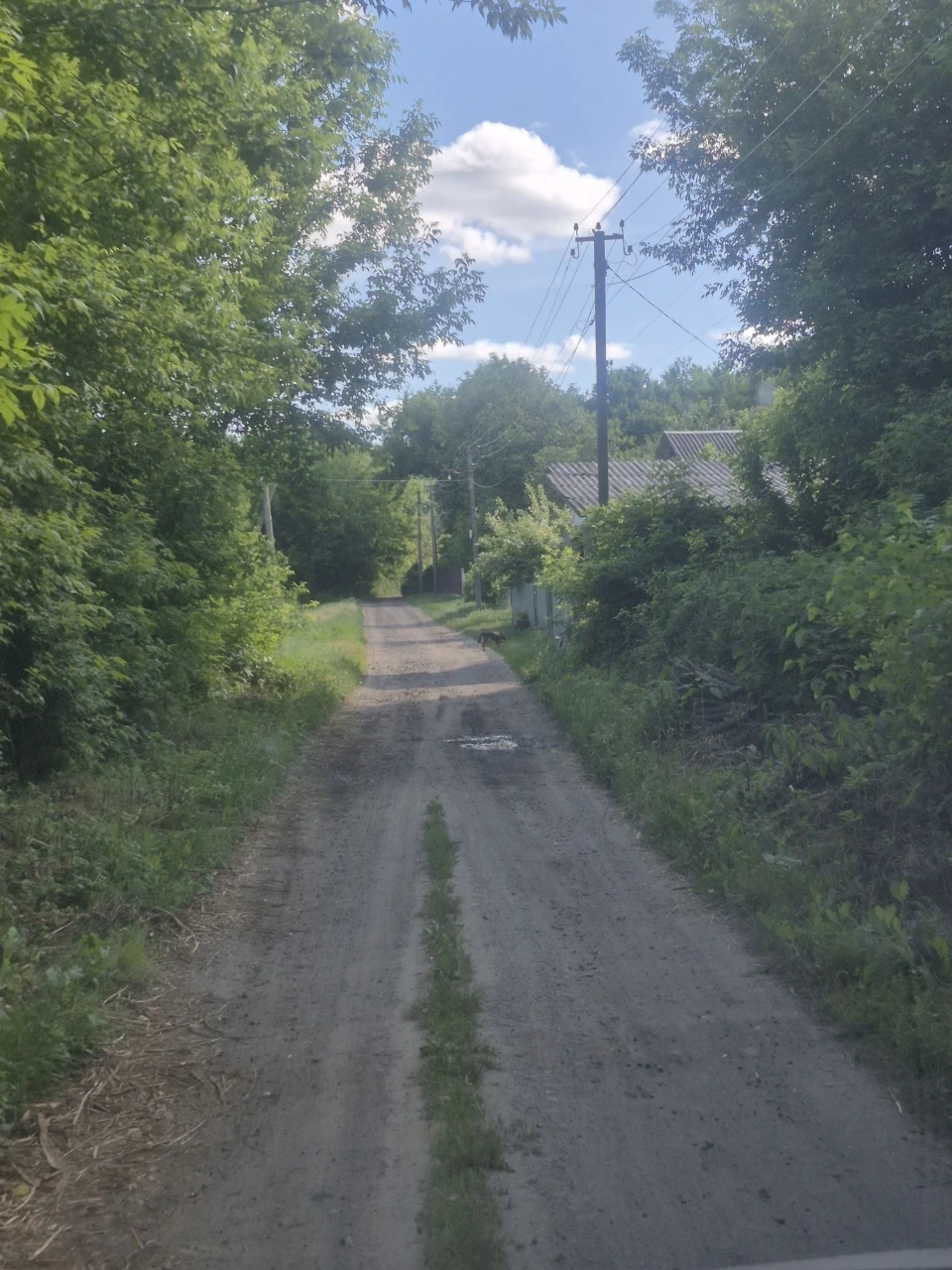 Продам 27сот Каменка,крайній від лісу з власним озером.