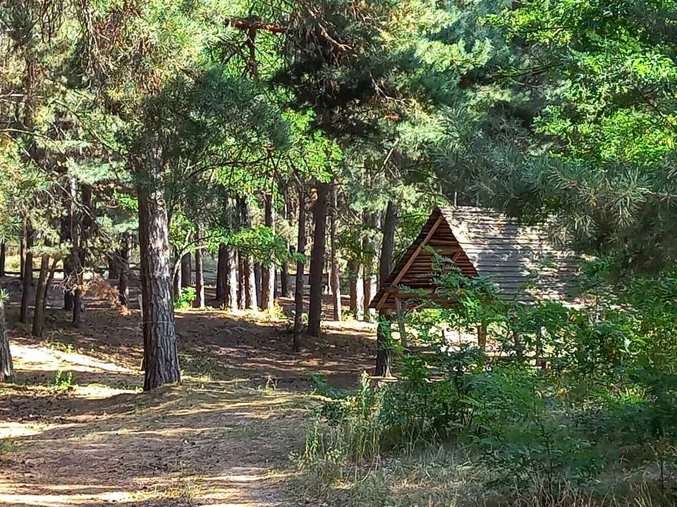 Ділянка. Канів, Дніпровська