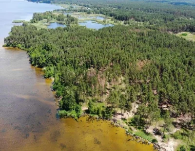 Велика ділянка біля Дніпра. Канів, 15 гектар
