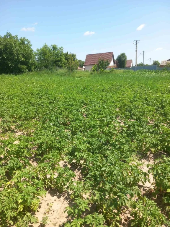 Продам земельну ділянку