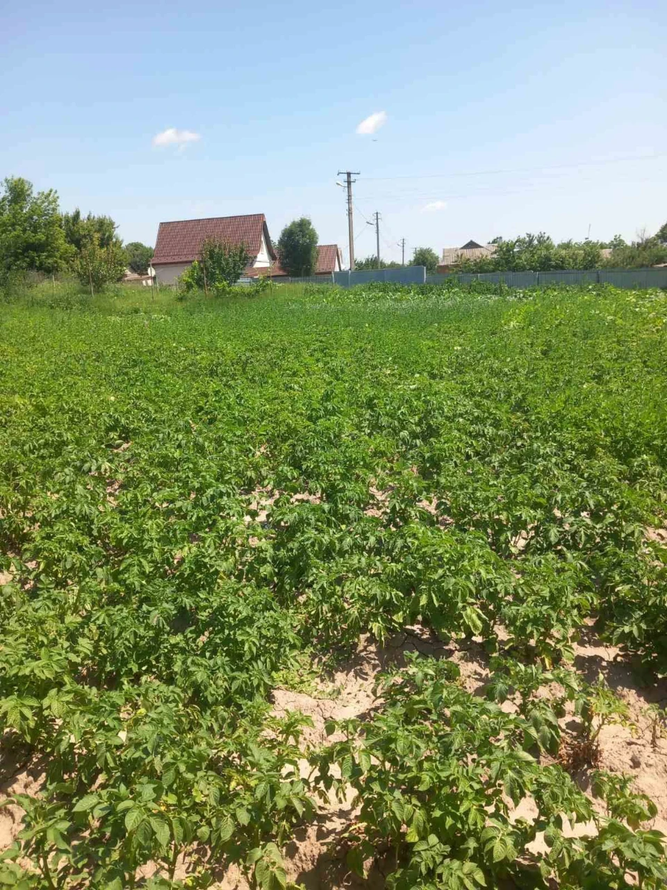 Продам земельну ділянку