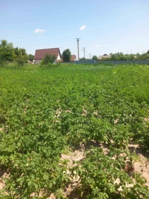 Продам земельну ділянку