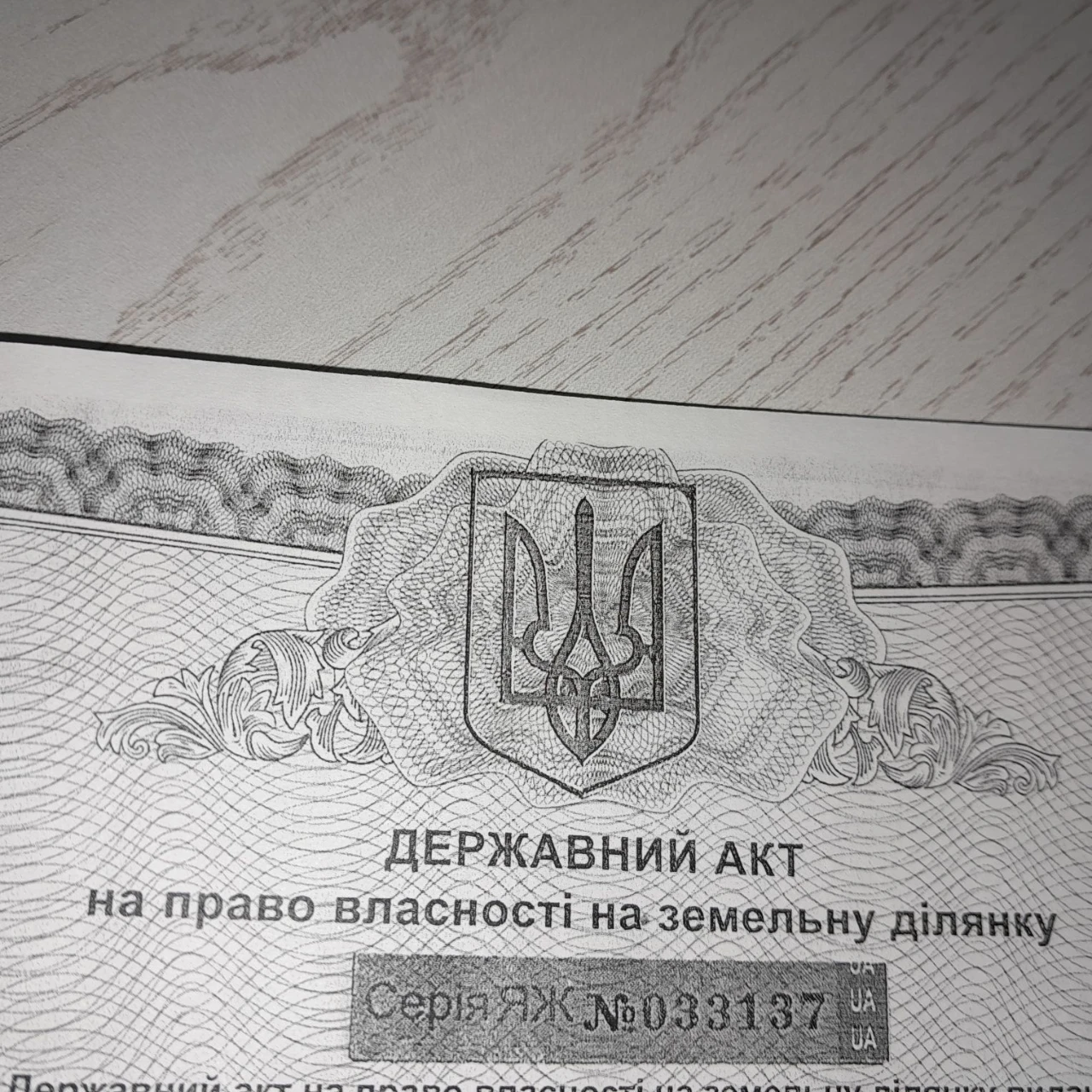 Земельна ділянка