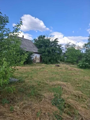 Продаж земельної ділянки із старим будинком в с.Будки
