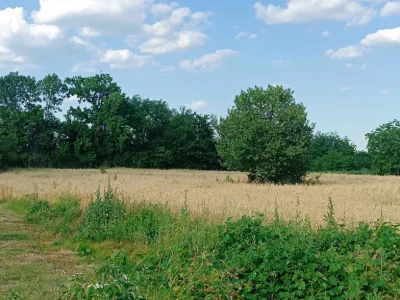 продаж комерційної ділянки 0,47га фасад траси М30 с.Паланка