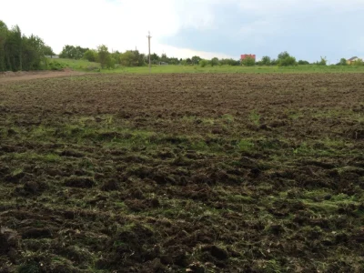 800 $ за сотку. Продається земельна ділянка в с. Городецьке