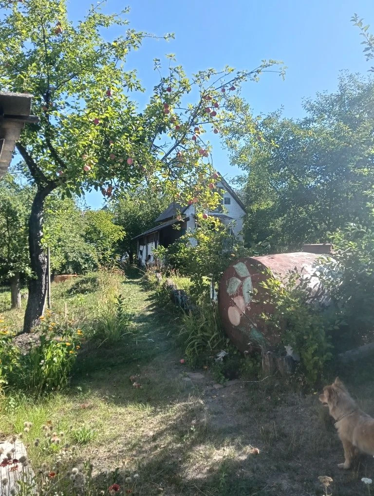 Продається дачна ділянка 21 сот