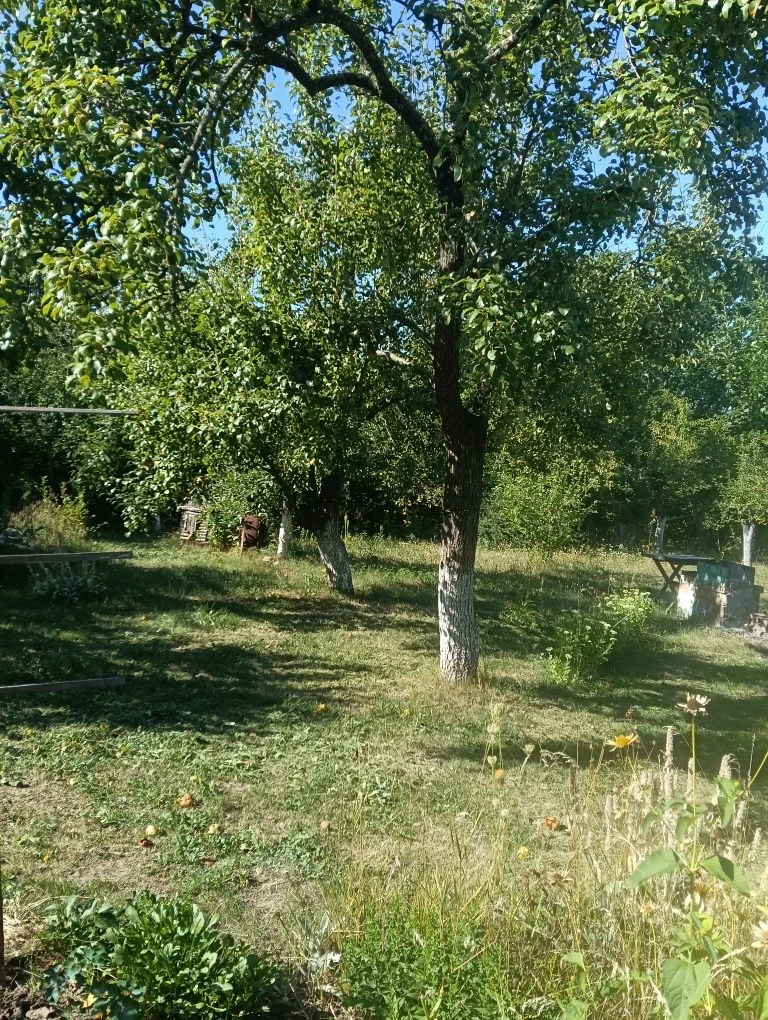 Продається дачна ділянка 21 сот