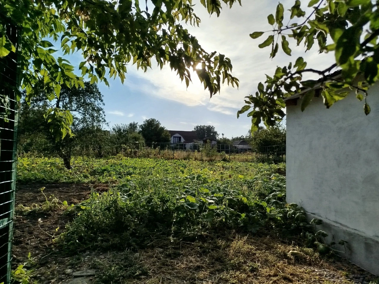 Земельна ділянка 10 сот, Умань