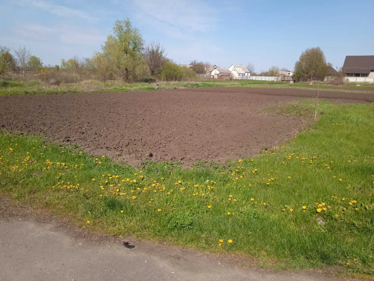 Продається  приватизована земельна ділянка в м.Шпола.