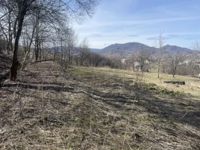 Земельний участок під будівництво Вижниця Чорногузи Карпати