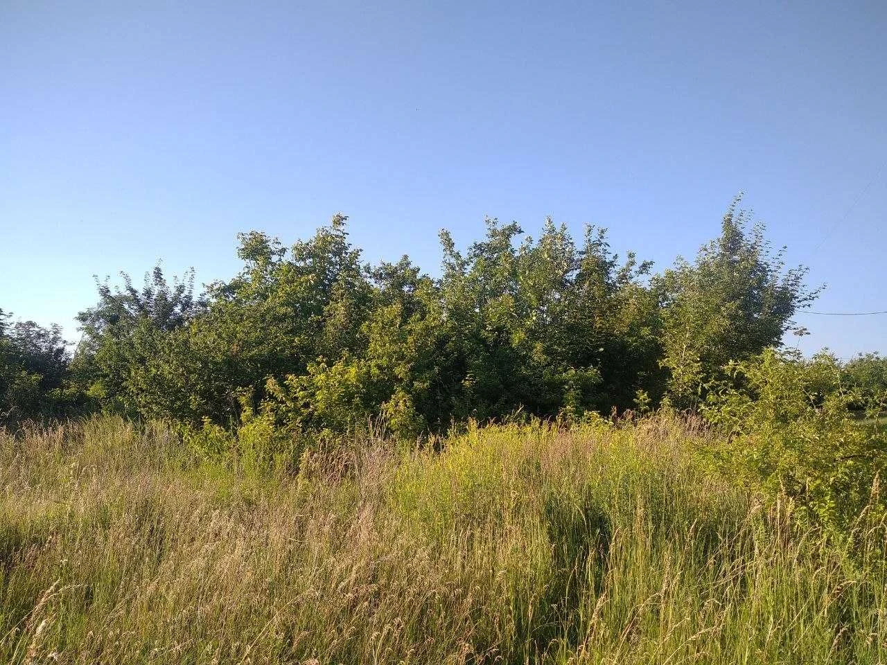 Земельна ділянка під житло, м. Заставна, м-р Сонячний, 0,1 г