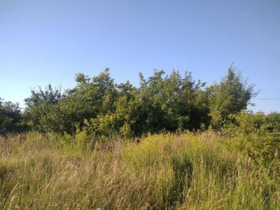 Земельна ділянка під житло, м. Заставна, м-р Сонячний, 0,1 г