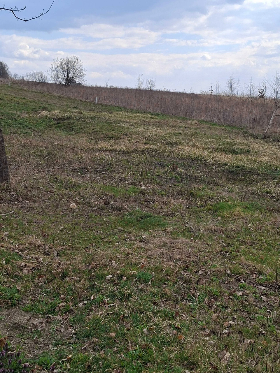 Продається земельна ділянка м.Сторожинець для будівництва це