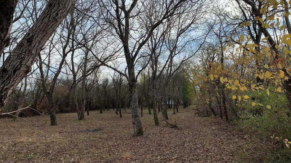 Земельна ділянка