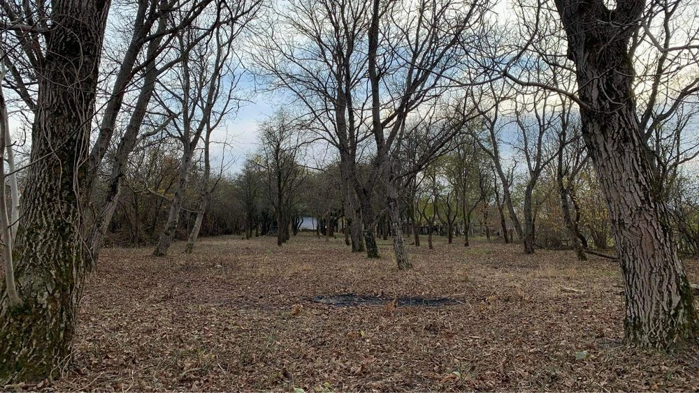 Земельна ділянка