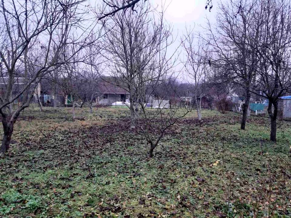 Ділянка. Бобровиця, Садовая