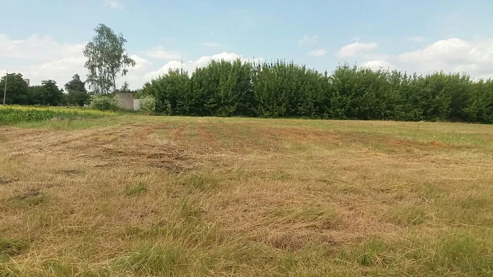 Земельна ділянка під будівництво, Бобровиця, участок для стр