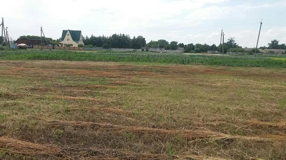 Земельна ділянка під будівництво, Бобровиця, участок для стр