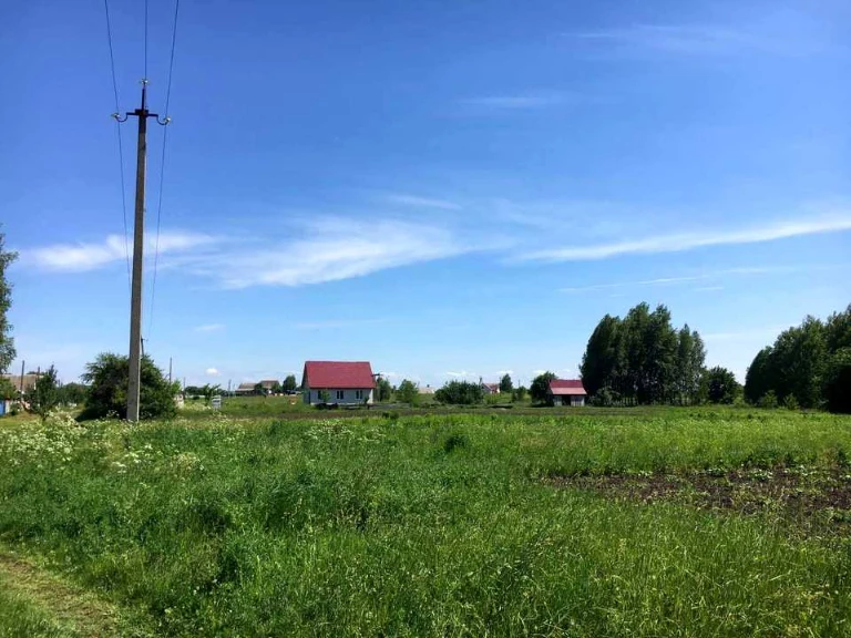 Ділянка. Носівка, Кошового