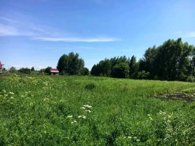 Ділянка. Носівка, Кошового