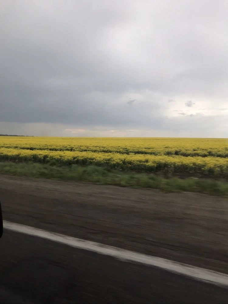 Земля під будівництво