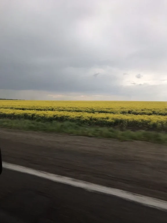 Земля під будівництво