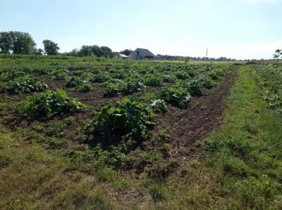 Продам земельну ділянку 10 соток