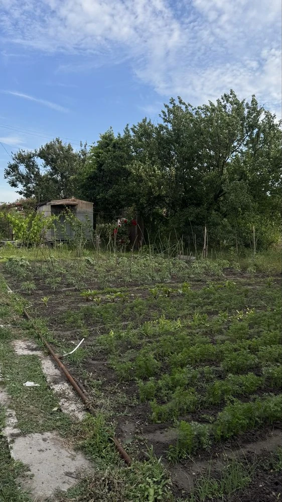 Продам дачний участок