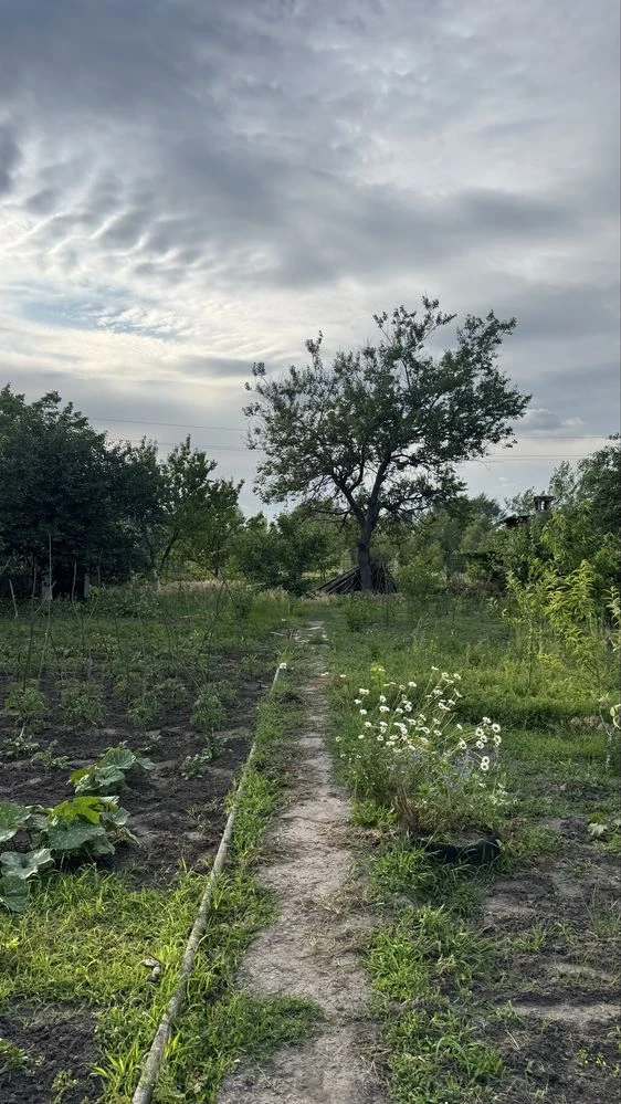 Продам дачний участок