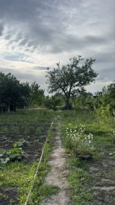 Продам дачний участок