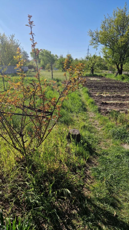 Участок в дачном кооперативе Ландыш 2 (с. Потоки)