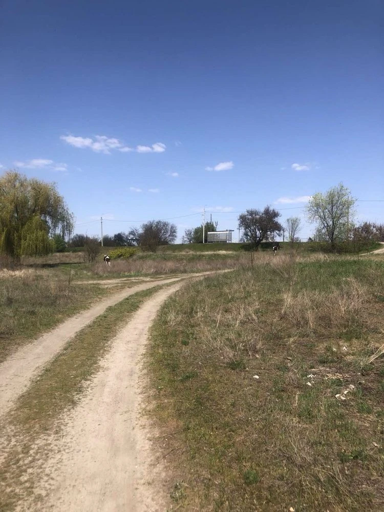 Продаж земельної ділянки біля Дніпра на Ревівці