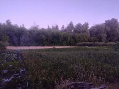 Продам Земельну ділянку 0.56га