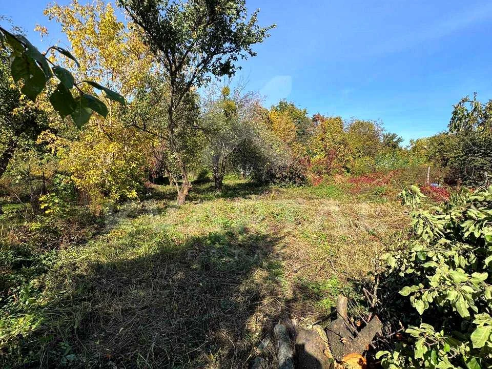 Ділянка. Буча