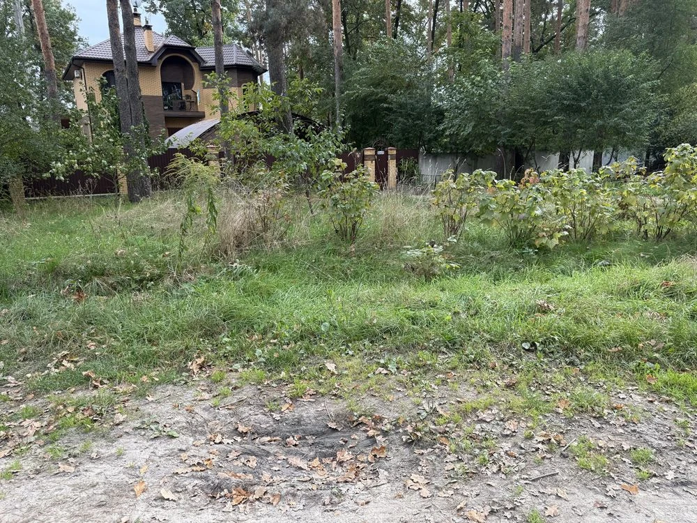 продаж земельної ділянки в Лісовій Бучі