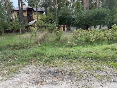 продаж земельної ділянки в Лісовій Бучі