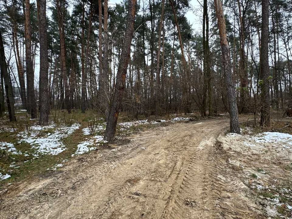 Ділянка. Буча, Миколи Леонтовича вул.