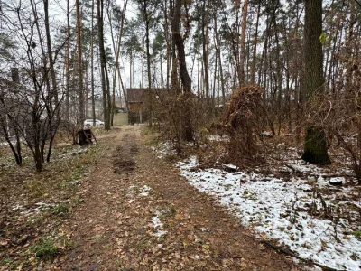 Ділянка. Буча, Миколи Леонтовича вул.