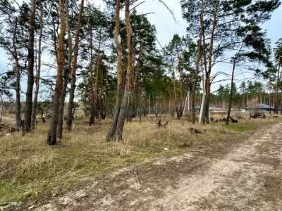 Ділянка. Буча, Левка Симиренка вул.