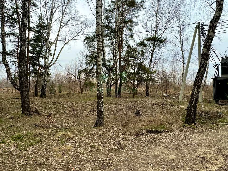 Ділянка. Буча, Левка Симиренка вул.